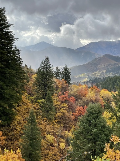 Uinta-Wasatch-Cache National Forest
