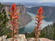 Ashley National Forest - Flaming Gorge