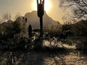 Tonto National Forest