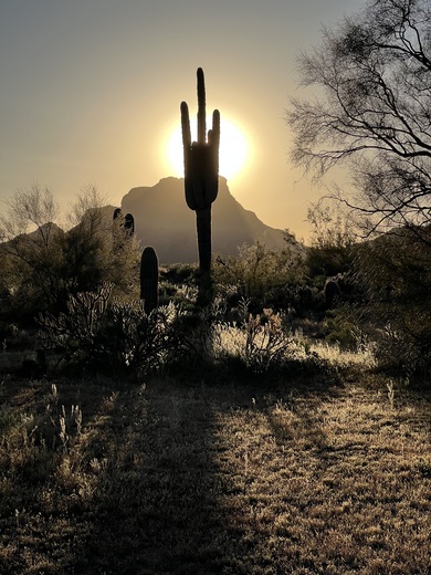 Tonto National Forest