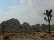 Joshua Tree National Park