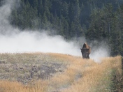 Yellowstone National Park
