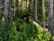 Grand Tetons National Park