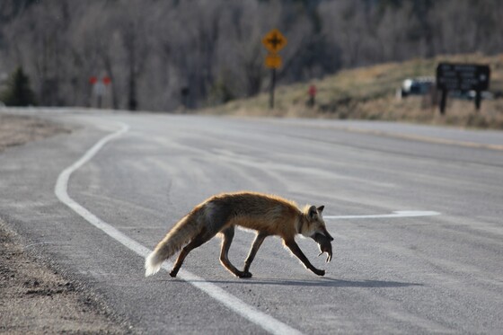 Grand Teton National Park