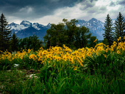 Grand Teton National Park