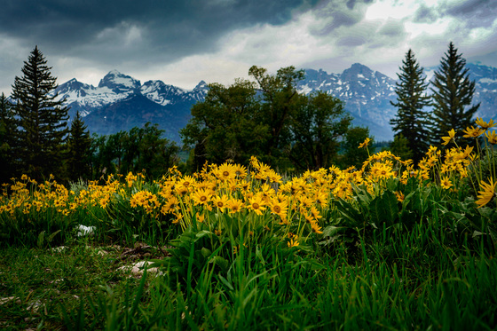 Grand Teton National Park