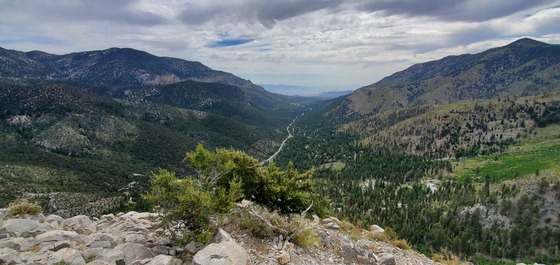 Spring Mountains National Recreation Area