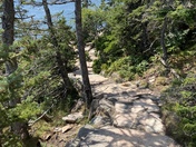 Acadia National Park