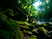 Great Smoky Mountains National Park