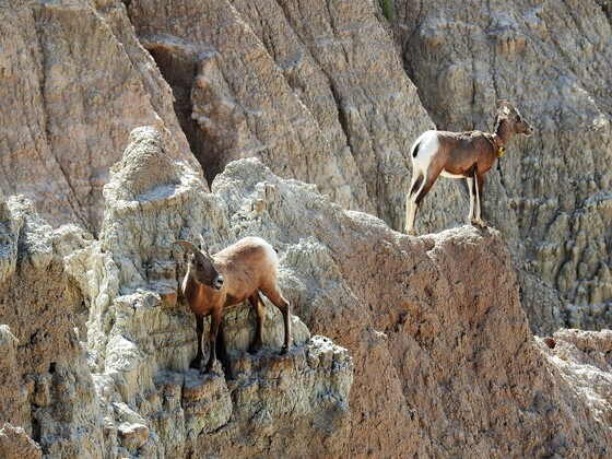 Badlands National Park
