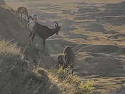 Buffalo Gap National Grassland