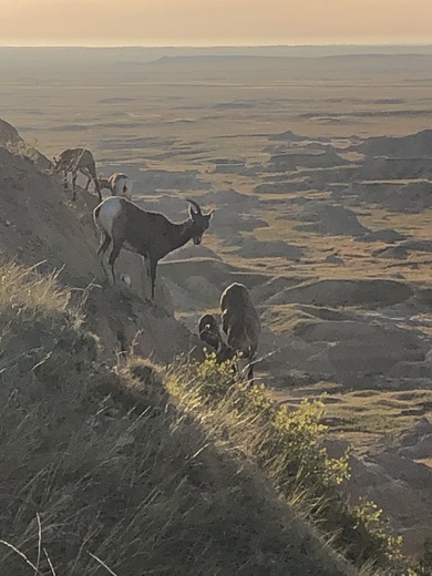 Buffalo Gap National Grassland