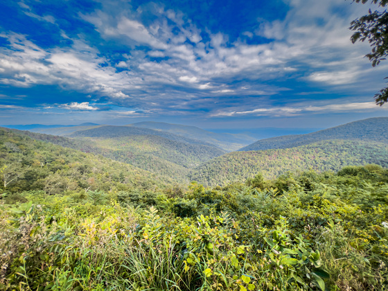Shenandoah National Park