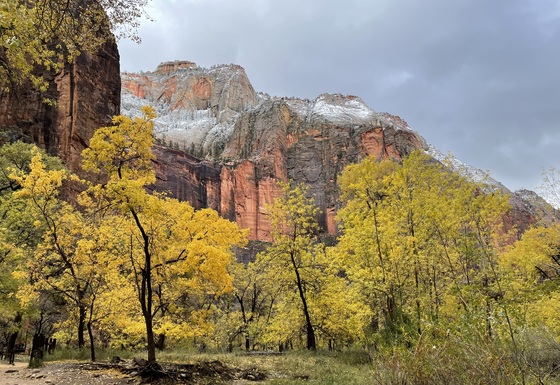 Zion National Park