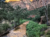 Zion National Park 