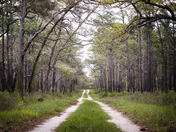 St. Marks National Wildlife Refuge