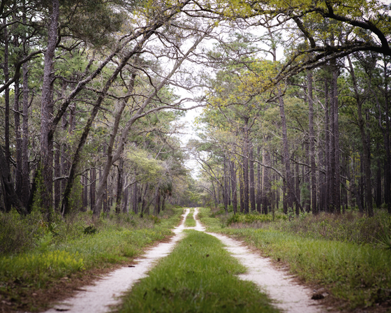 St. Marks National Wildlife Refuge