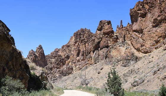 Leslie Gulch