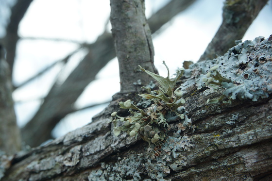 Pee Dee National Wildlife Refuge