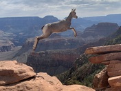 Grand Canyon National Park