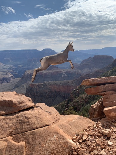 Grand Canyon National Park
