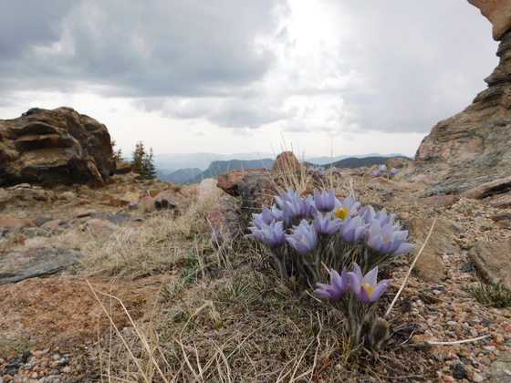 Rocky Mountain National Park