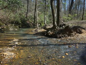 Uwharrie national Forest