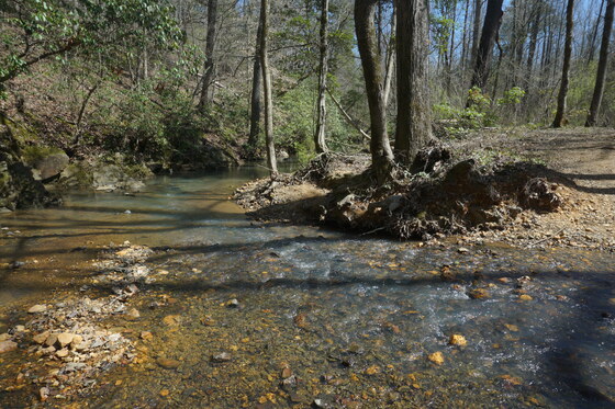 Uwharrie national Forest