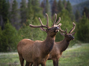 Rocky Mountain National Park