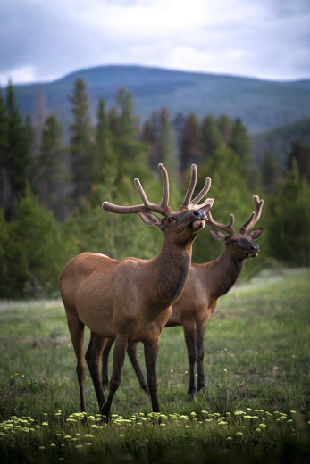 Rocky Mountain National Park