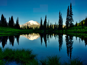 Mt Rainier National Park