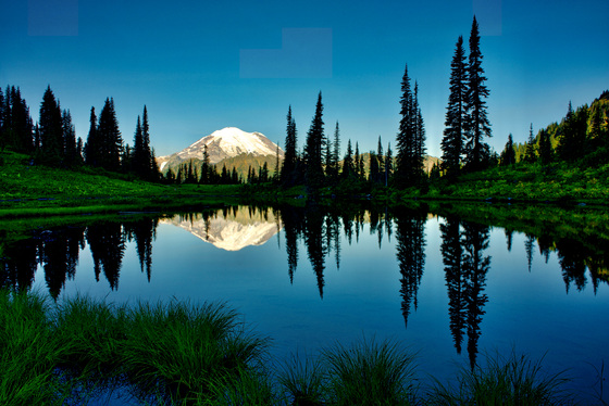 Mt Rainier National Park