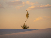 White Sands National Park