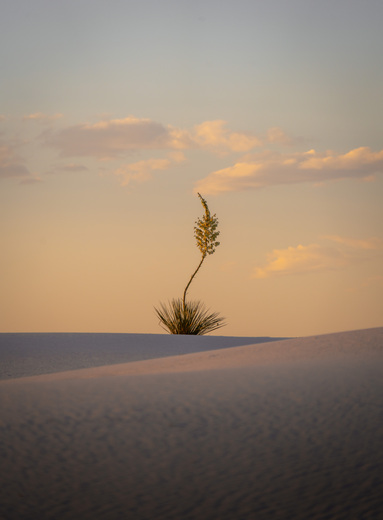 White Sands National Park