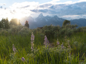 Grand Teton National Park