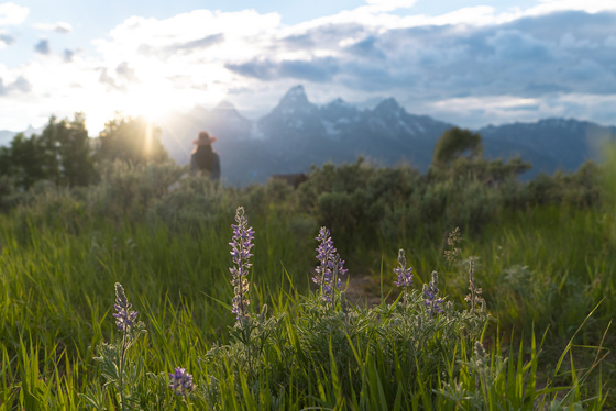 Grand Teton National Park