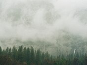 Yosemite National Park