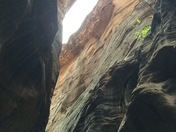 Zion National Park 