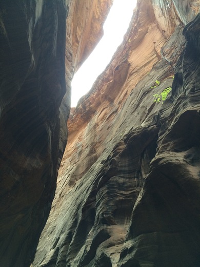 Zion National Park 