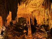 Mammoth Cave National Park 