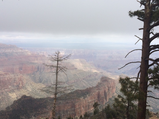 Grand Canyon National Park 