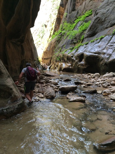 Zion National Park 