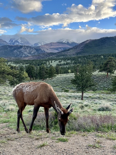 Rocky Mountain National Park