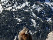 Rocky Mountain National Park