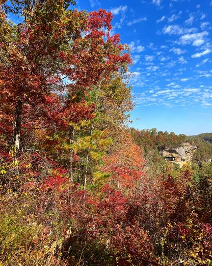 Red River Gorge