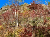 Red River Gorge