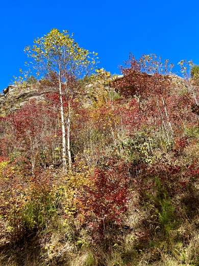 Red River Gorge