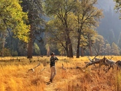 Yosemite National Park  