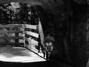Kings Canyon and Sequoia National Parks 