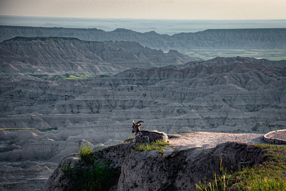 Badlands National Park